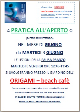 immagine origami giugno